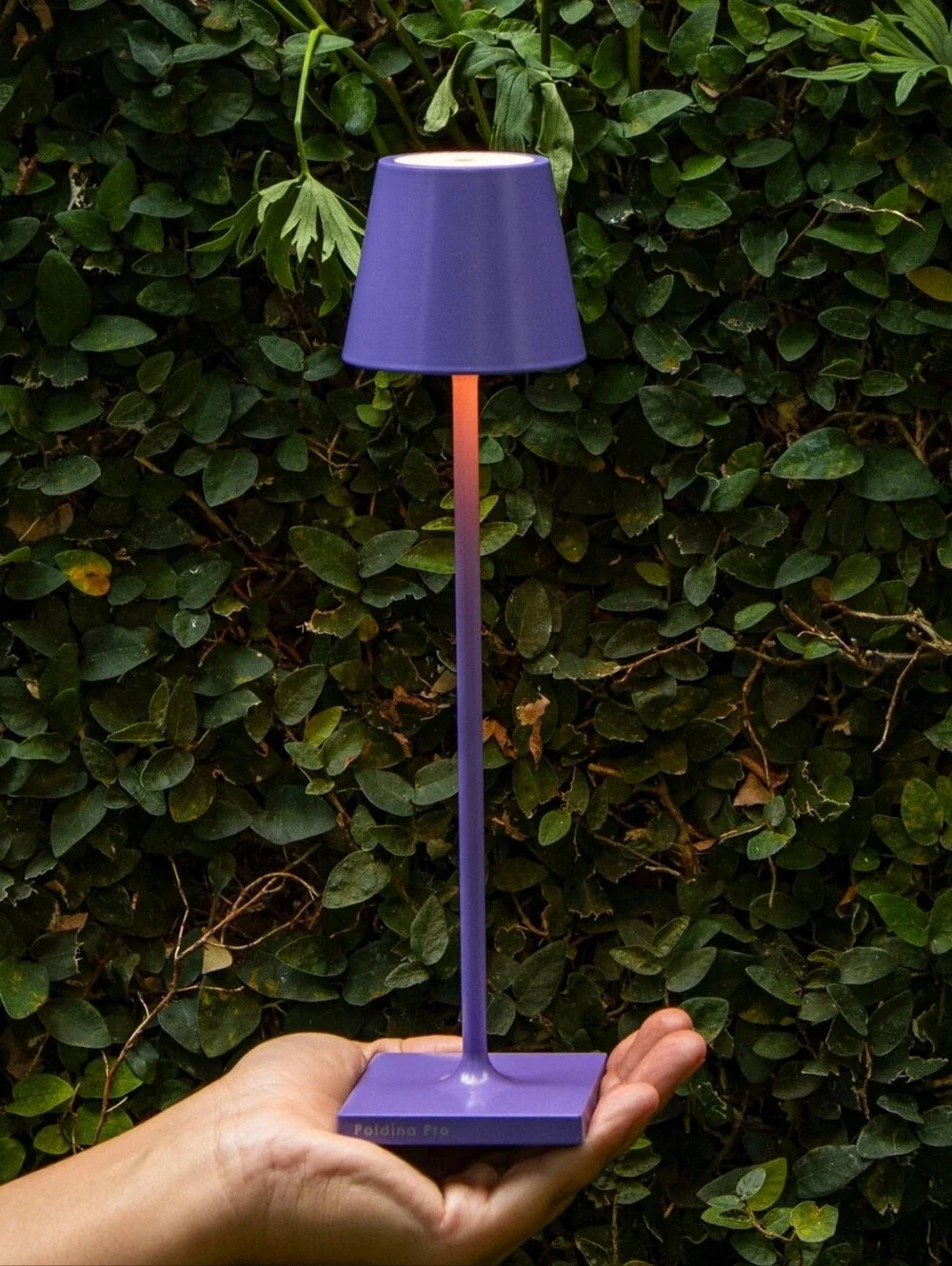 Zafferano Poldina Pro Micro Table Lamp